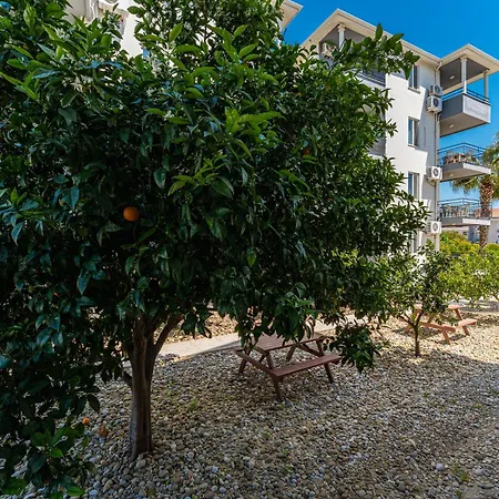Apartment Assos *